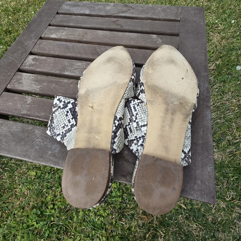 Coconuts by MATISSE Shay Snake Print Pointed Mules 9 - Picture 5 of 7